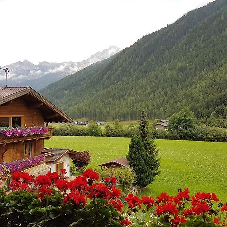 Griesshof Apartment Neustift im Stubaital Exterior photo