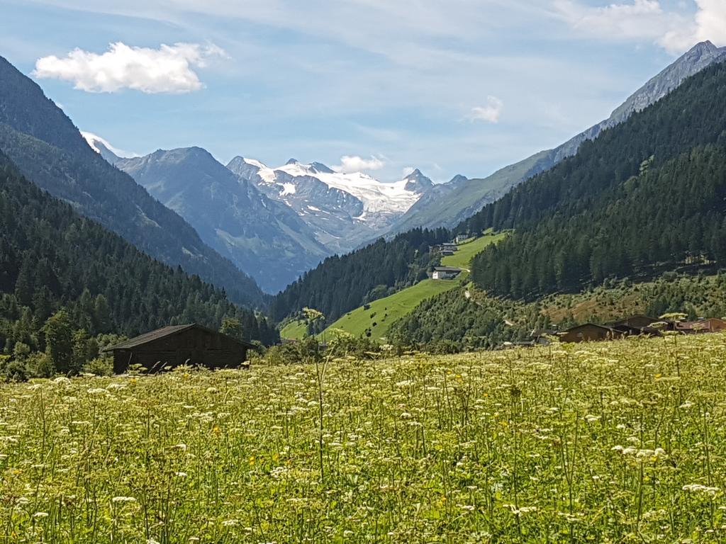 Griesshof Apartment Neustift im Stubaital Exterior photo